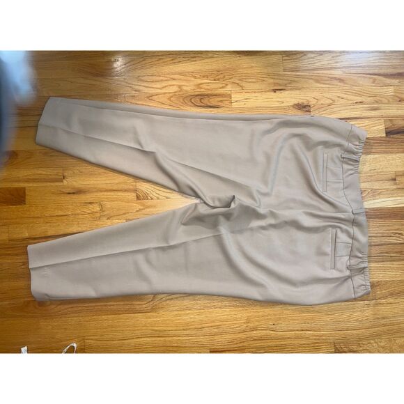 TALBOTS HAMPSHIRE STRAIGHT ANKLE PANT - CURVY FIT Sz 20W Tan Rattan $149 retail - Picture 3 of 12